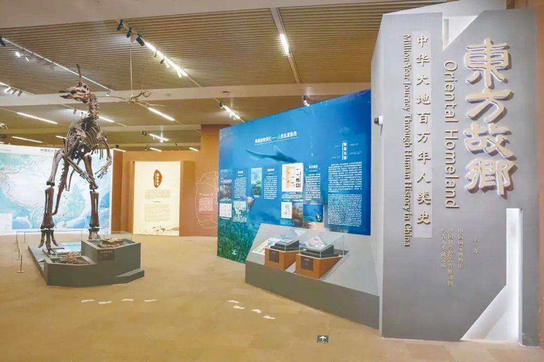 中華大地百萬年人類史展覽在中國國家博物館開幕